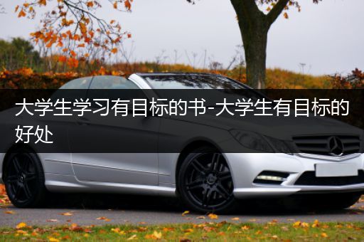 大学生学习有目标的书-大学生有目标的好处