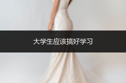 大学生应该搞好学习