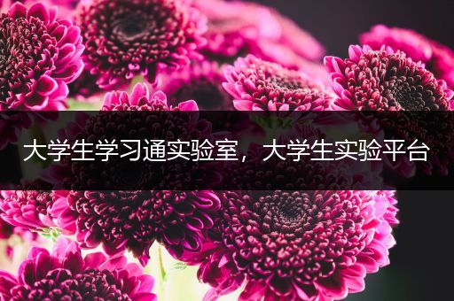 大学生学习通实验室，大学生实验平台