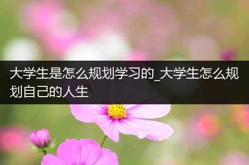 大学生是怎么规划学习的_大学生怎么规划自己的人生