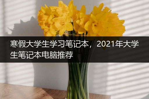 寒假大学生学习笔记本，2021年大学生笔记本电脑推荐