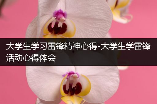 大学生学习雷锋精神心得-大学生学雷锋活动心得体会