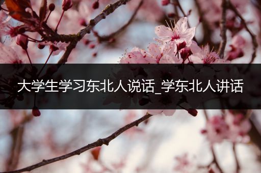 大学生学习东北人说话_学东北人讲话