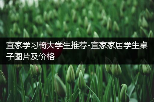 宜家学习椅大学生推荐-宜家家居学生桌子图片及价格