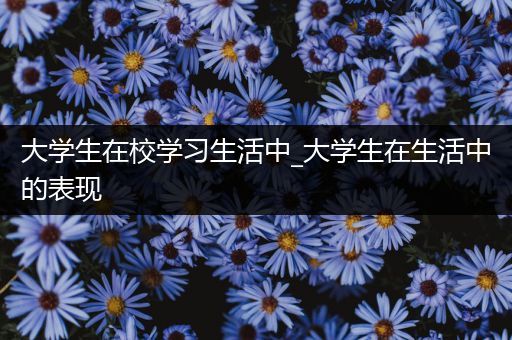 大学生在校学习生活中_大学生在生活中的表现