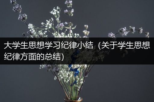 大学生思想学习纪律小结（关于学生思想纪律方面的总结）