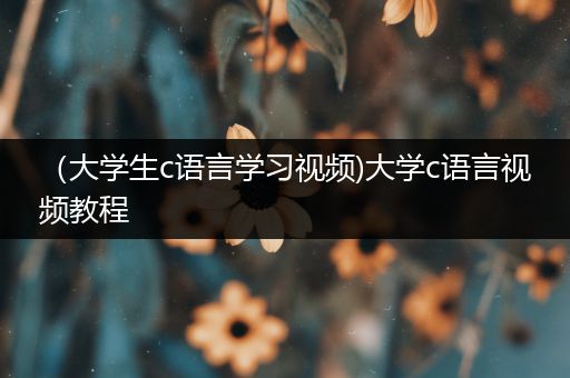 （大学生c语言学习视频)大学c语言视频教程