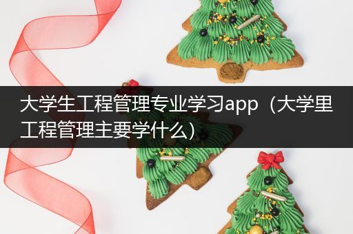 大学生工程管理专业学习app（大学里工程管理主要学什么）