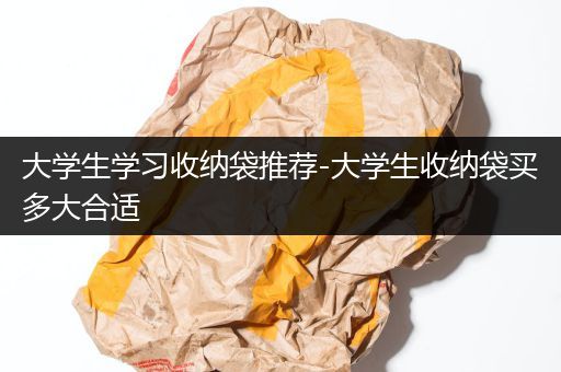 大学生学习收纳袋推荐-大学生收纳袋买多大合适