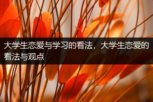 大学生恋爱与学习的看法，大学生恋爱的看法与观点