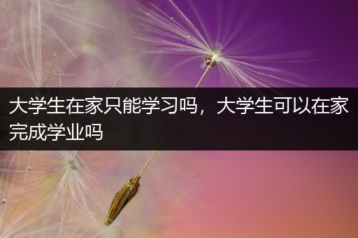 大学生在家只能学习吗，大学生可以在家完成学业吗