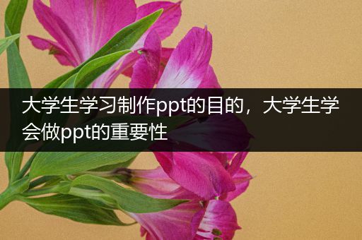大学生学习制作ppt的目的，大学生学会做ppt的重要性