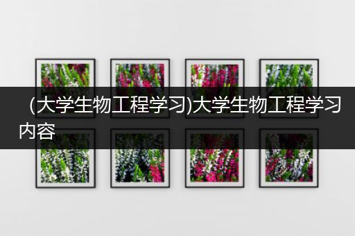 （大学生物工程学习)大学生物工程学习内容