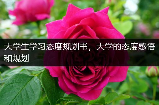 大学生学习态度规划书，大学的态度感悟和规划