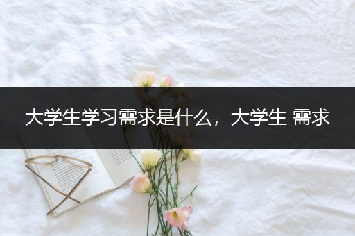 大学生学习需求是什么，大学生 需求
