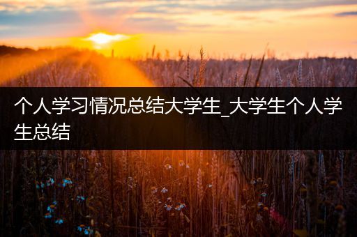 个人学习情况总结大学生_大学生个人学生总结