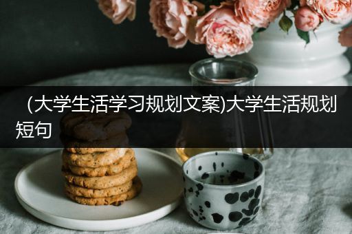 （大学生活学习规划文案)大学生活规划短句