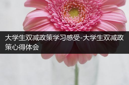 大学生双减政策学习感受-大学生双减政策心得体会