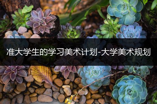 准大学生的学习美术计划-大学美术规划