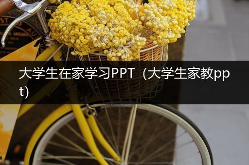 大学生在家学习PPT（大学生家教ppt）