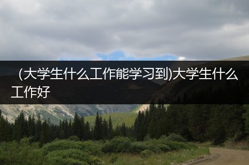 （大学生什么工作能学习到)大学生什么工作好