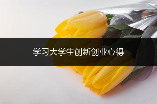学习大学生创新创业心得
