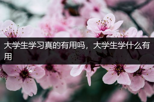 大学生学习真的有用吗，大学生学什么有用