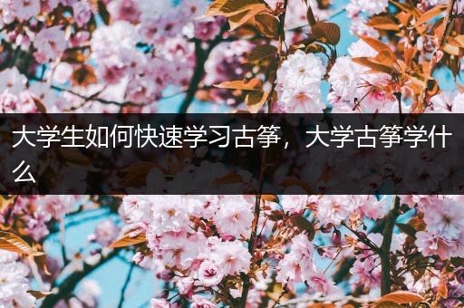 大学生如何快速学习古筝，大学古筝学什么