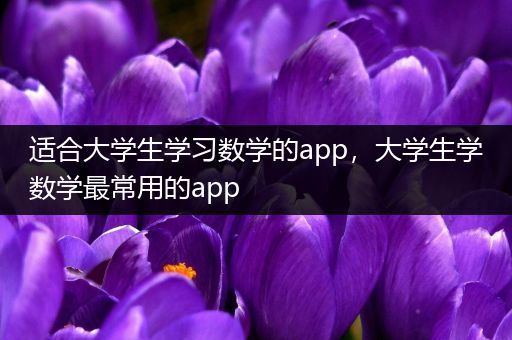 适合大学生学习数学的app，大学生学数学最常用的app