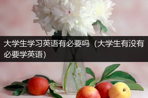 大学生学习英语有必要吗（大学生有没有必要学英语）
