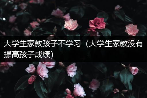 大学生家教孩子不学习（大学生家教没有提高孩子成绩）