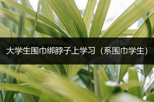 大学生围巾绑脖子上学习（系围巾学生）
