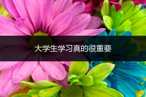 大学生学习真的很重要