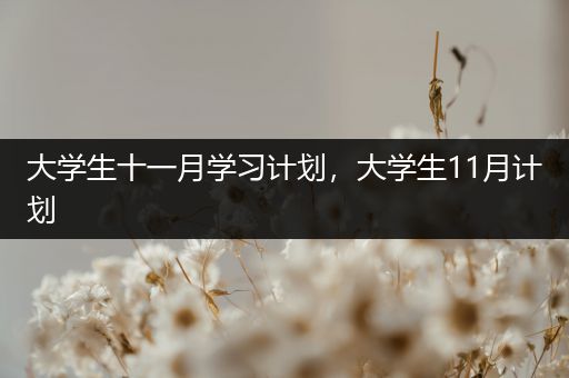 大学生十一月学习计划，大学生11月计划