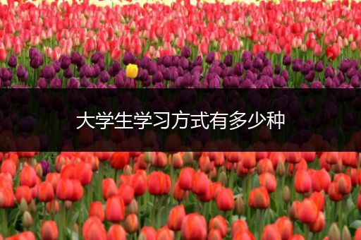 大学生学习方式有多少种