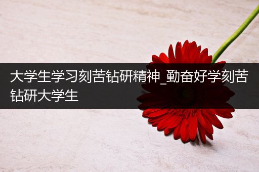 大学生学习刻苦钻研精神_勤奋好学刻苦钻研大学生