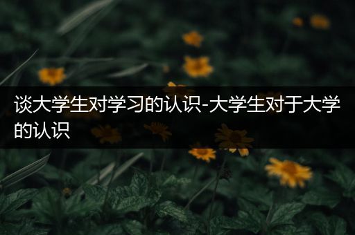 谈大学生对学习的认识-大学生对于大学的认识