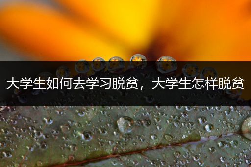 大学生如何去学习脱贫，大学生怎样脱贫