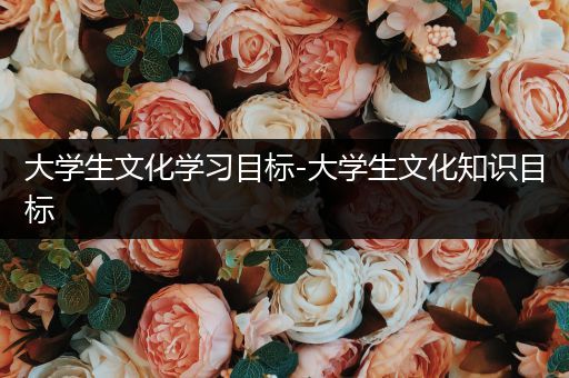大学生文化学习目标-大学生文化知识目标