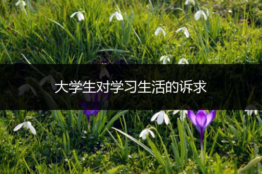 大学生对学习生活的诉求