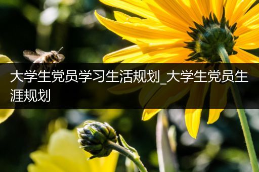 大学生党员学习生活规划_大学生党员生涯规划