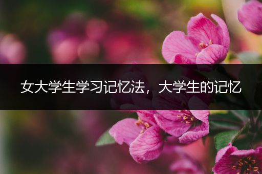 女大学生学习记忆法，大学生的记忆