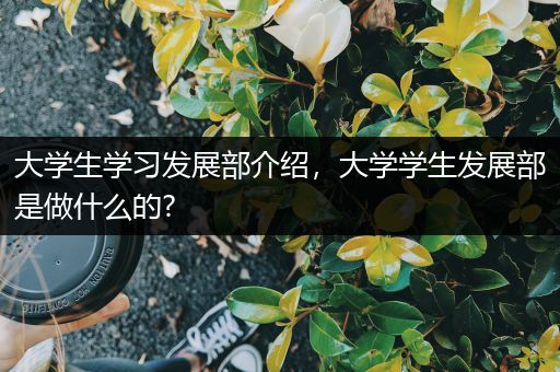 大学生学习发展部介绍，大学学生发展部是做什么的?