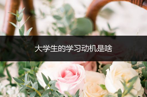 大学生的学习动机是啥
