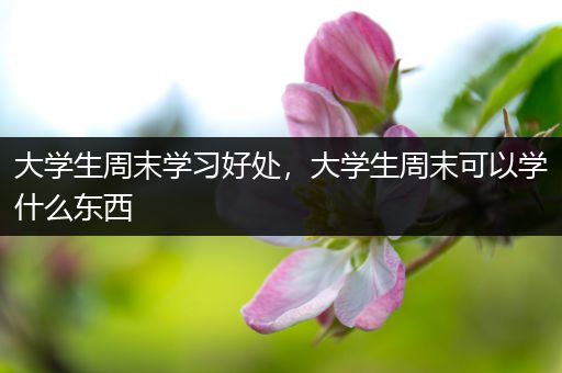 大学生周末学习好处，大学生周末可以学什么东西
