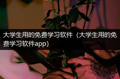 大学生用的免费学习软件（大学生用的免费学习软件app）