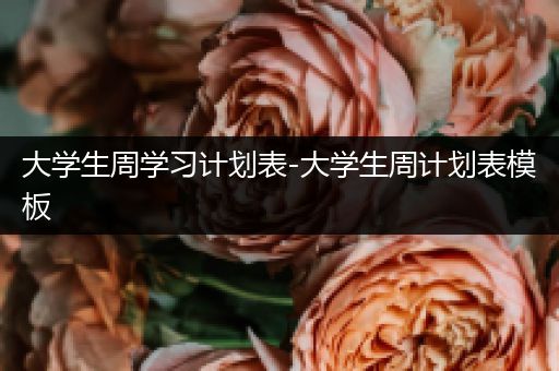 大学生周学习计划表-大学生周计划表模板