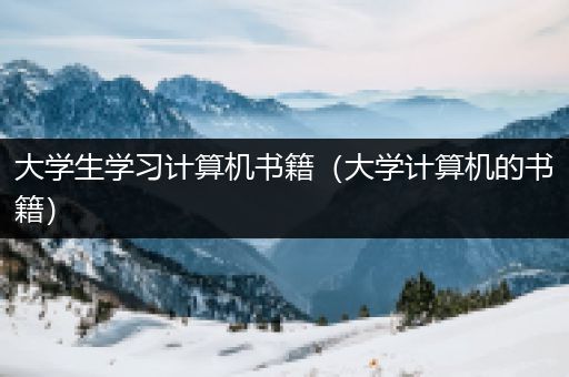 大学生学习计算机书籍（大学计算机的书籍）