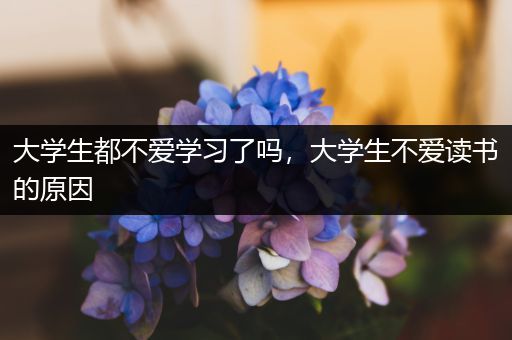 大学生都不爱学习了吗，大学生不爱读书的原因
