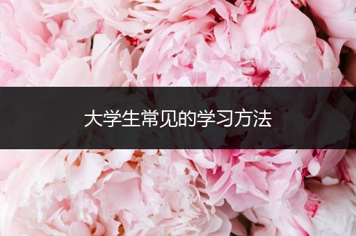 大学生常见的学习方法